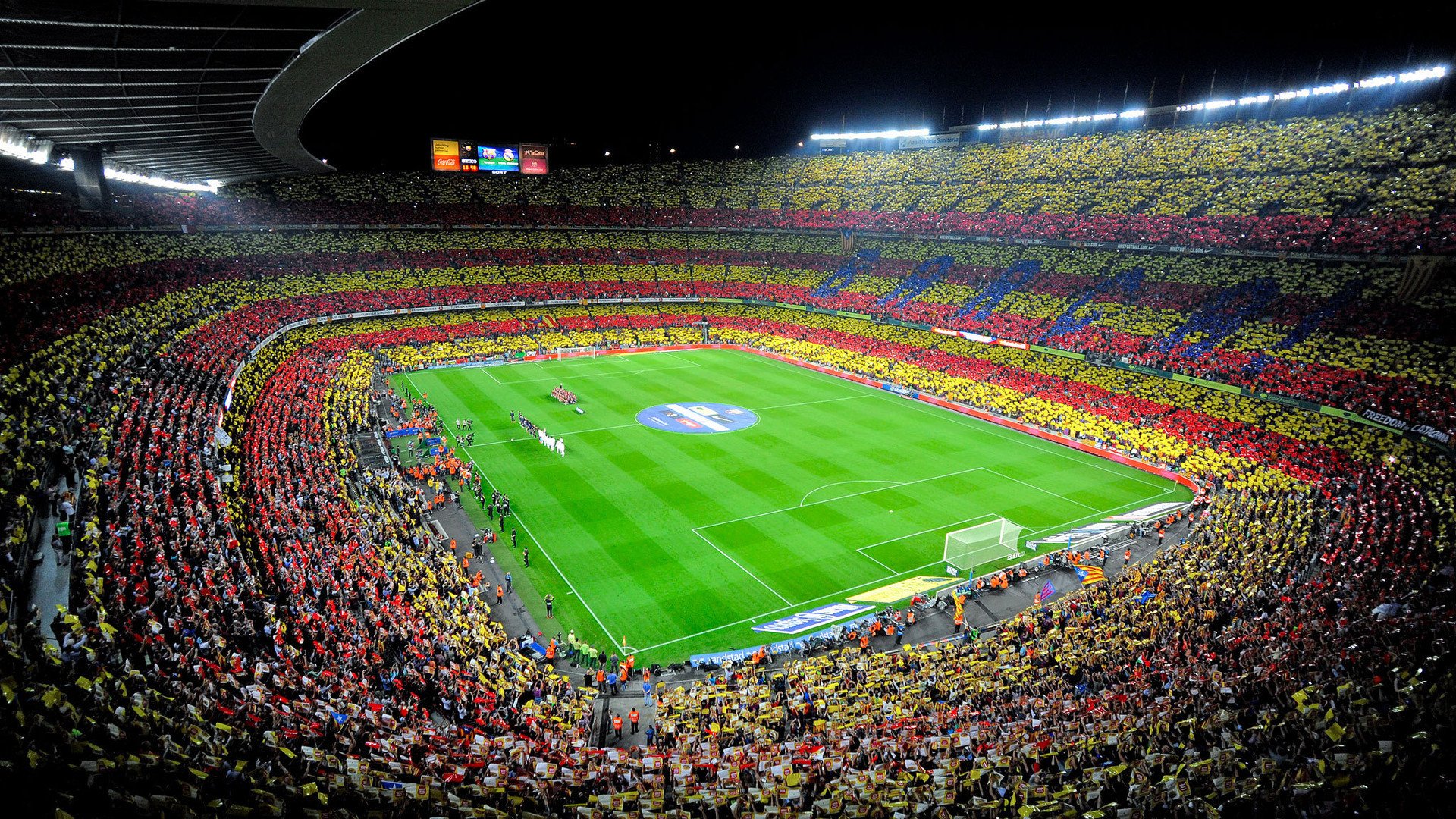 世界短道速滑青年赛赛后科研论文在国际期刊发表,世界短道速滑比赛